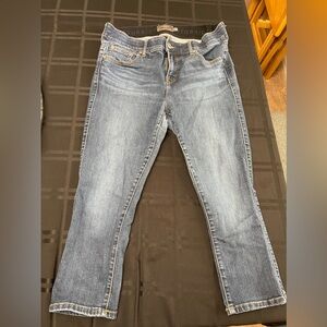 Torrid Bombshell Pants